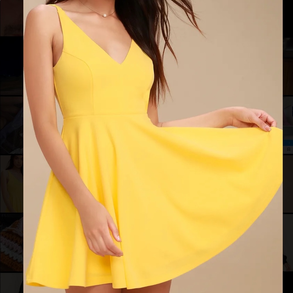 NWT Skater Dress